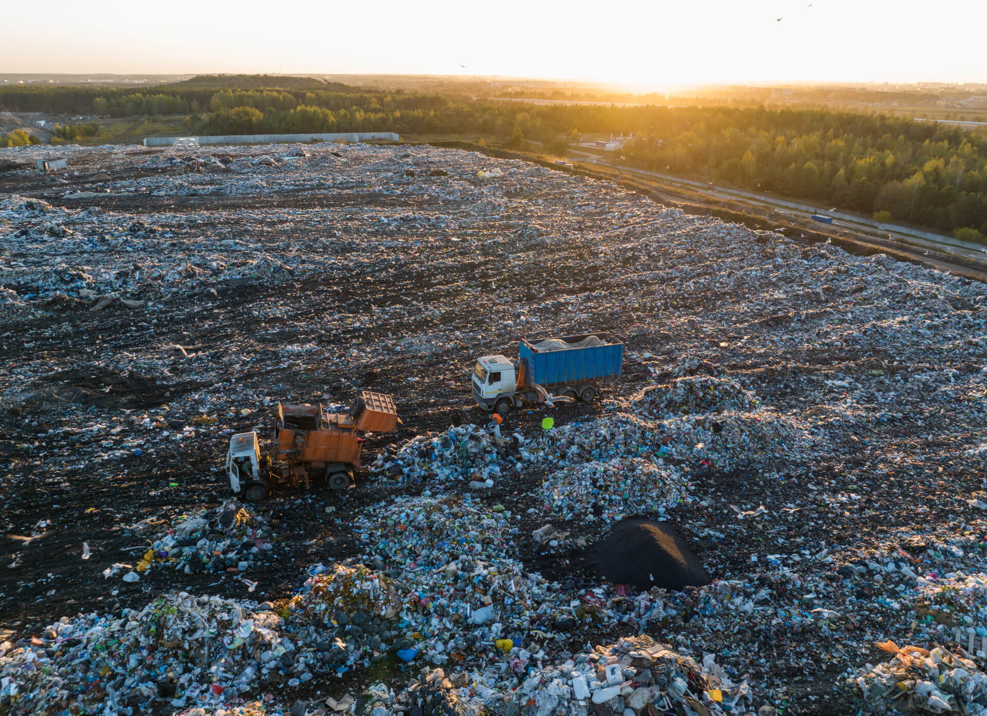 Single-Use plastic directive